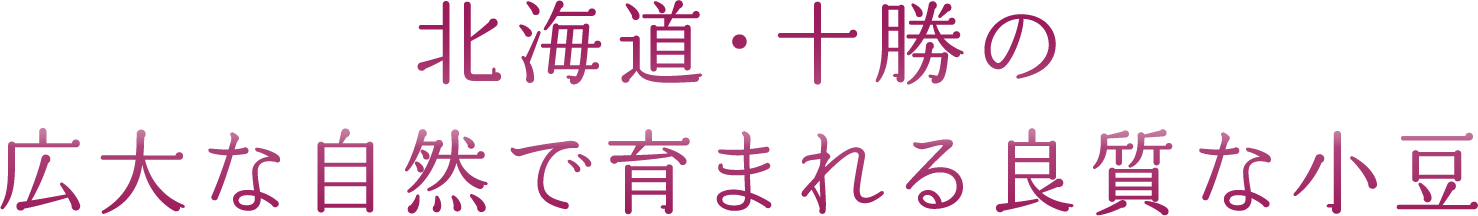 北海道・十勝の広大な自然で育まれる良質な小豆